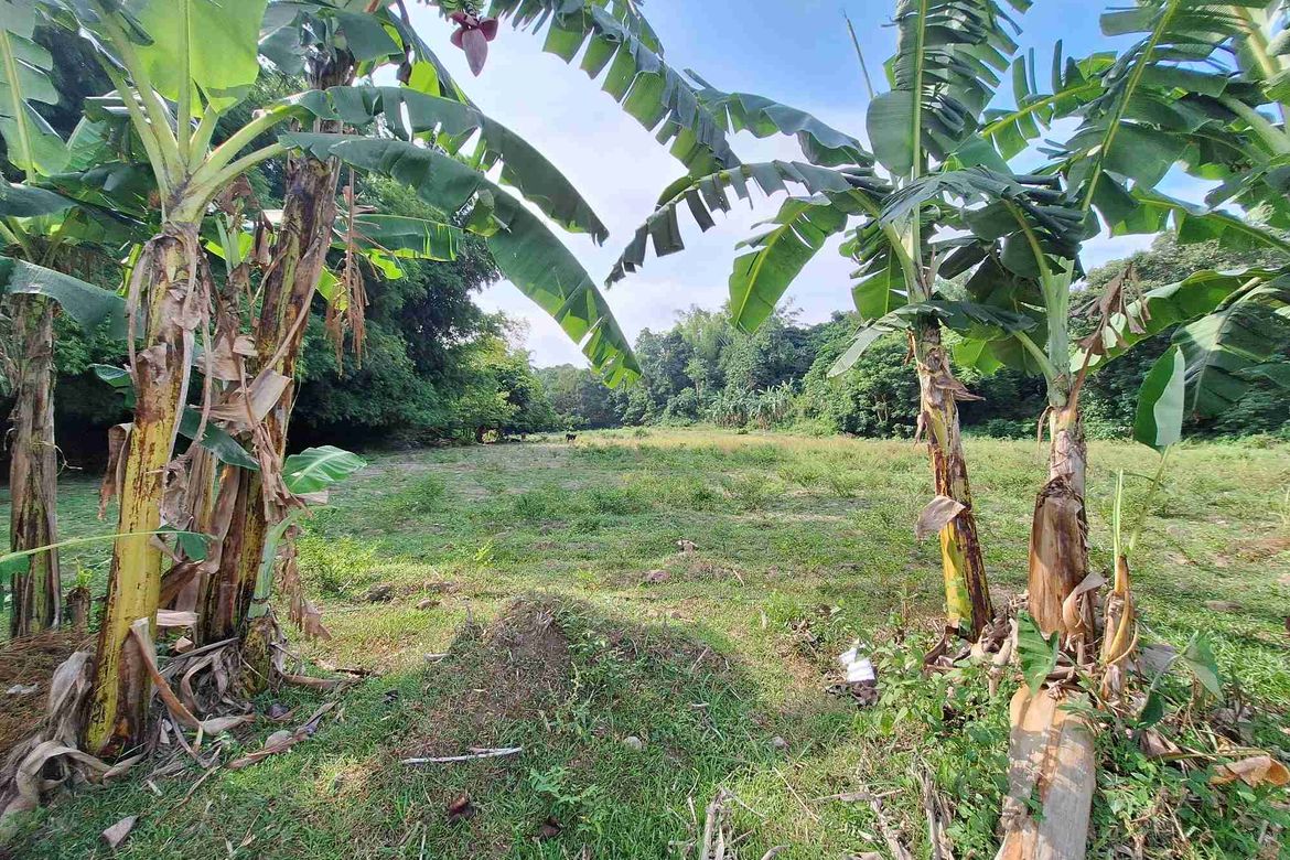 Land for Sale in Tunga-Tunga, Dauin, Negros Oriental – photo 2