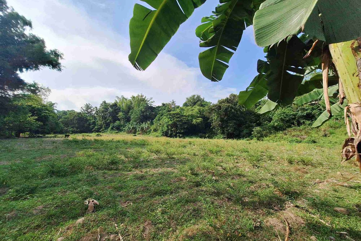 Land for Sale in Tunga-Tunga, Dauin, Negros Oriental – photo 7