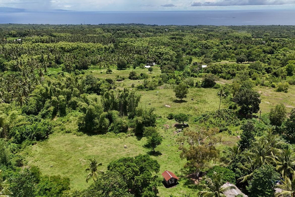 Land for Sale in Tunga-Tunga, Dauin, Negros Oriental – photo 2