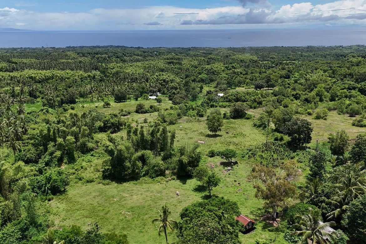 Land for Sale in Tunga-Tunga, Dauin, Negros Oriental – photo 3