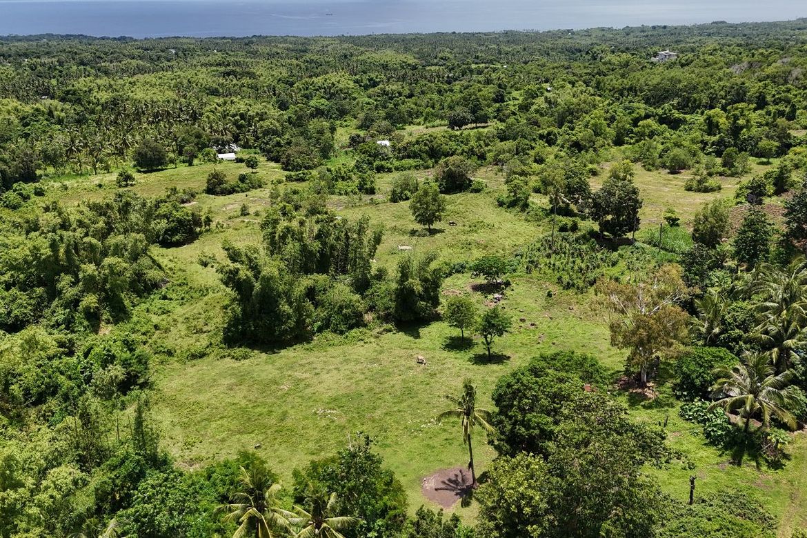 Land for Sale in Tunga-Tunga, Dauin, Negros Oriental – photo 4