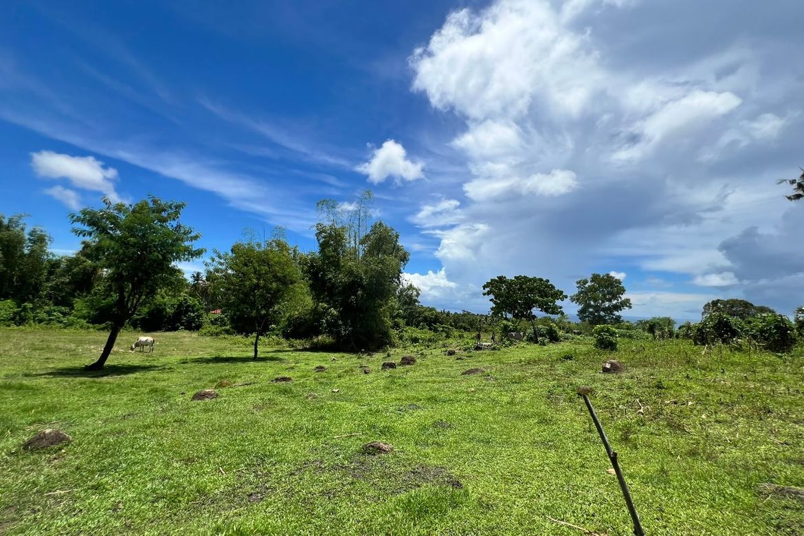 Land for Sale in Tunga-Tunga, Dauin, Negros Oriental – photo 5