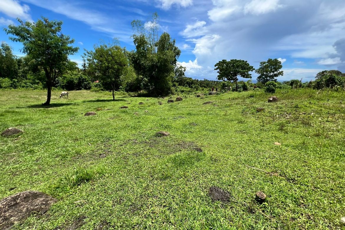 Land for Sale in Tunga-Tunga, Dauin, Negros Oriental – photo 6
