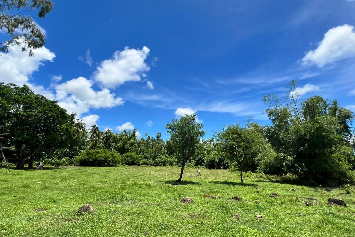 Land for Sale in Tunga-Tunga, Dauin, Negros Oriental – photo 7