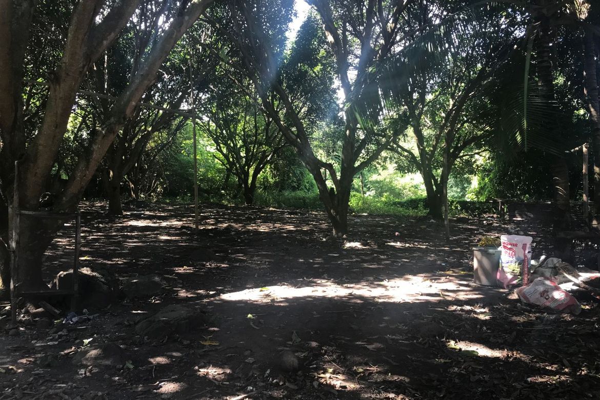 Land for Sale in Tunga-Tunga, Dauin, Negros Oriental