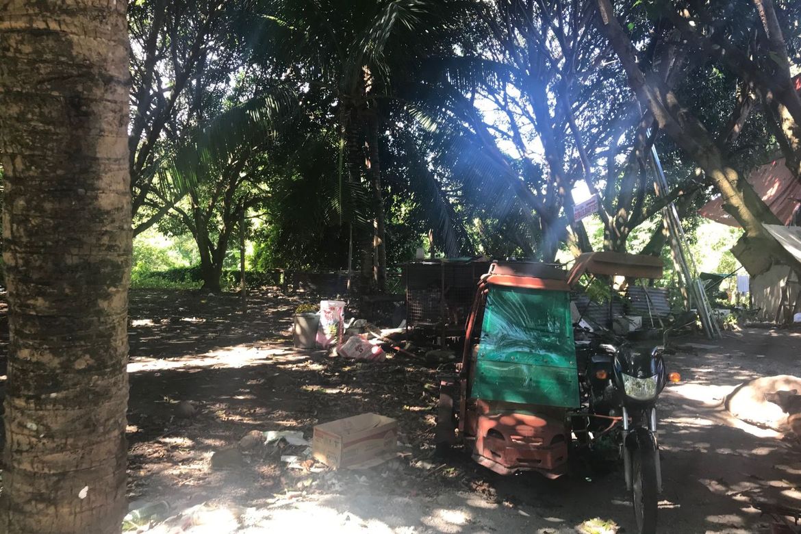 Land for Sale in Tunga-Tunga, Dauin, Negros Oriental – photo 4