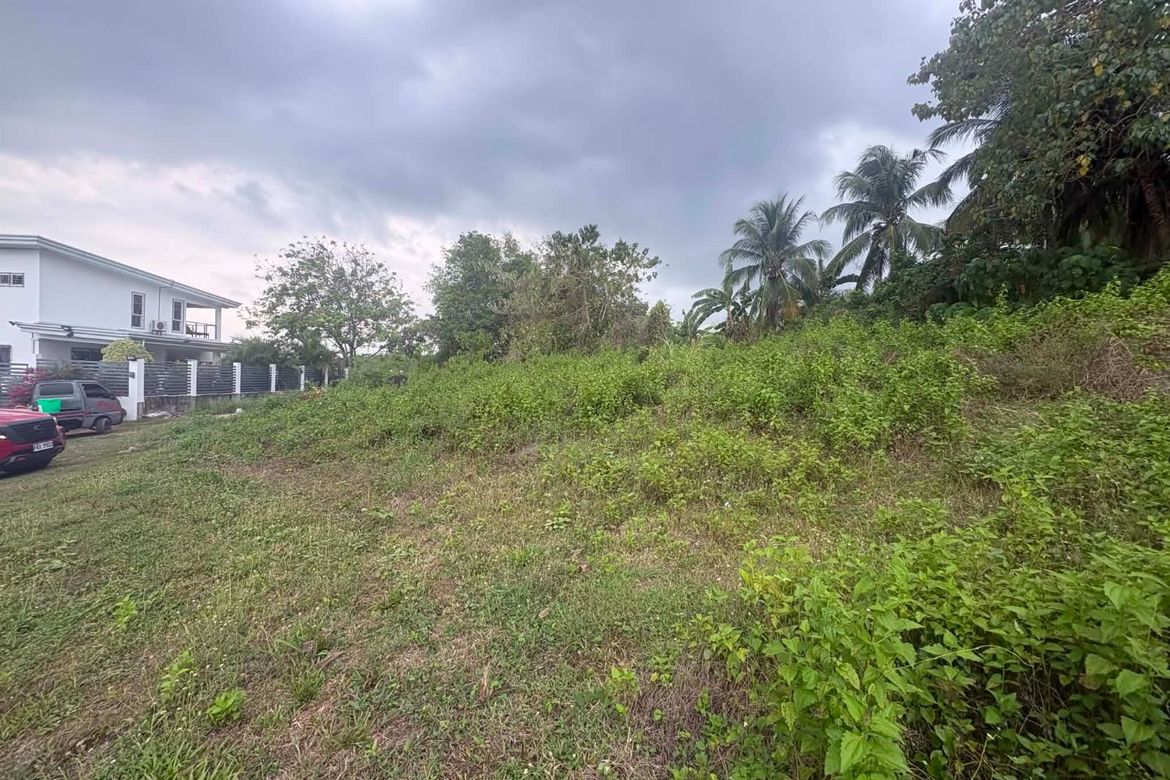 Land for Sale in Tunga-Tunga, Dauin, Negros Oriental – photo 4