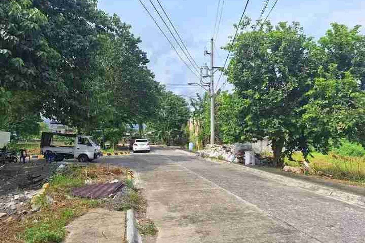 Land for Sale in Tungkil, Minglanilla, Cebu – photo 2