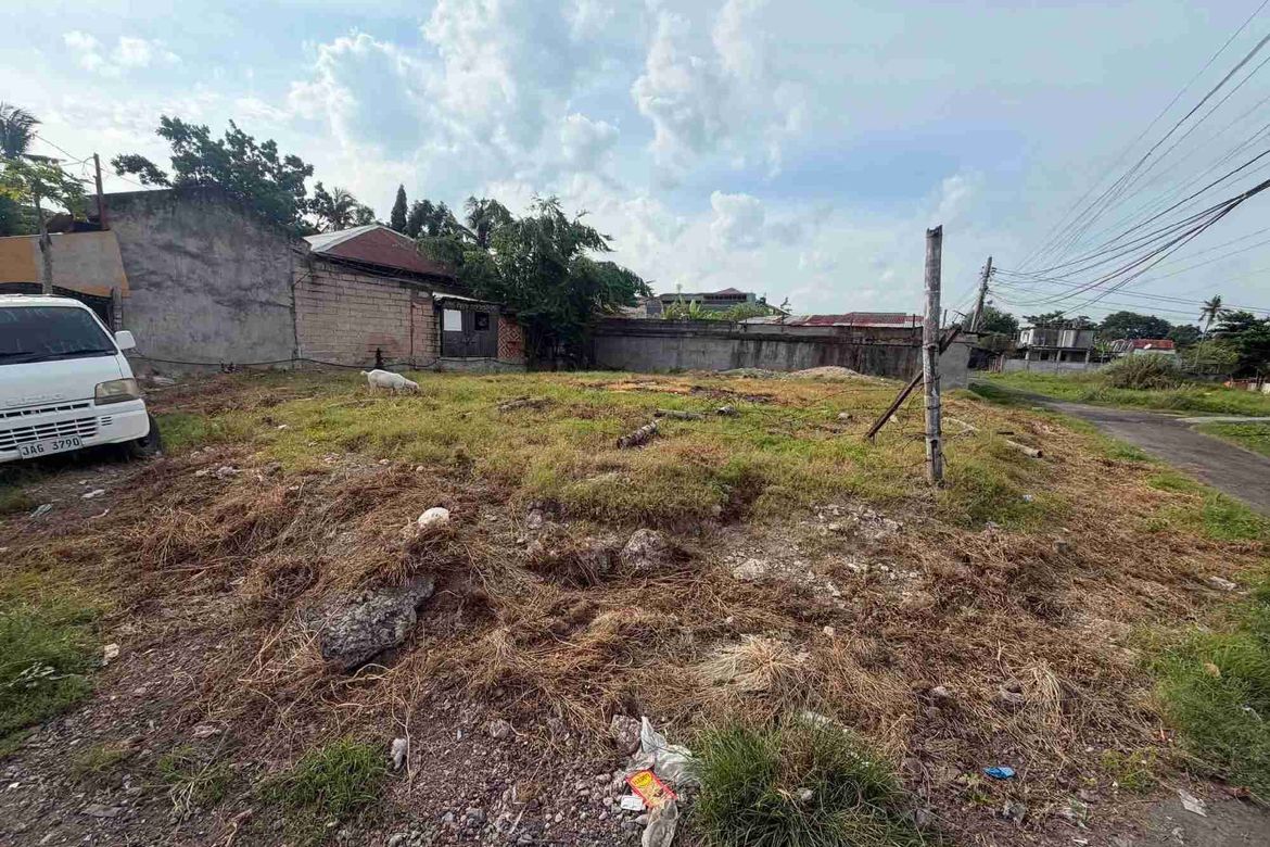 Land for Sale in Tungkil, Minglanilla, Cebu – photo 2
