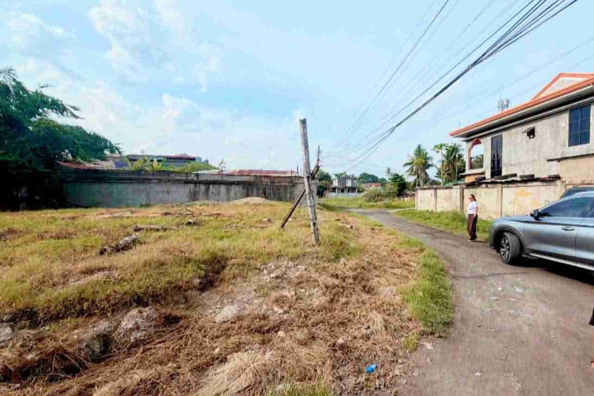 Land for Sale in Tungkil, Minglanilla, Cebu – photo 5