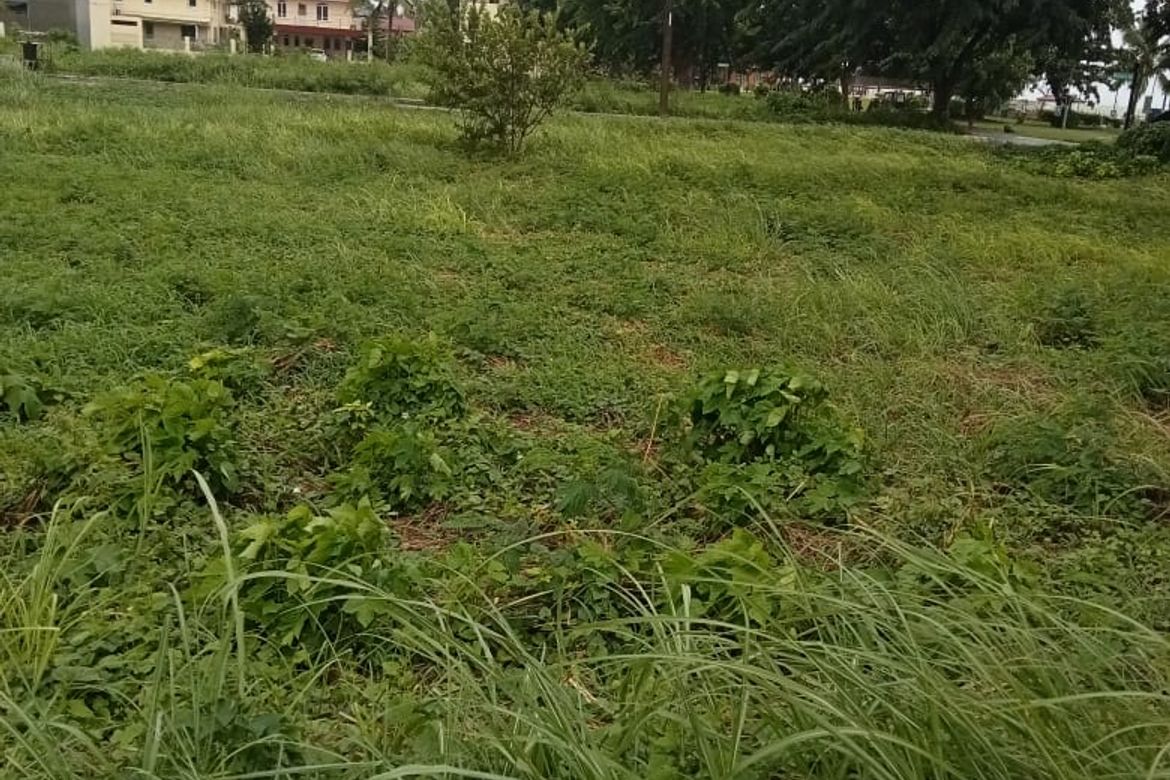 Land for Sale in Tungkil, Minglanilla, Cebu – photo 2