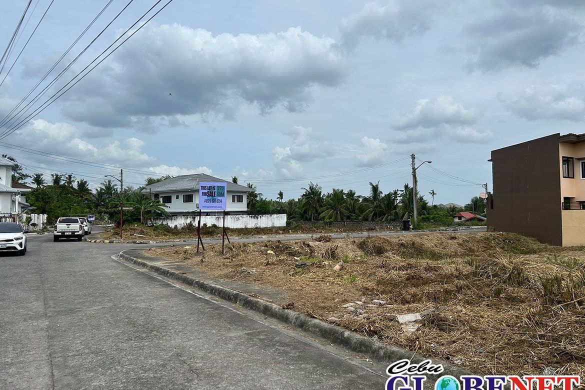 Land for Sale in Tungkil, Minglanilla, Cebu