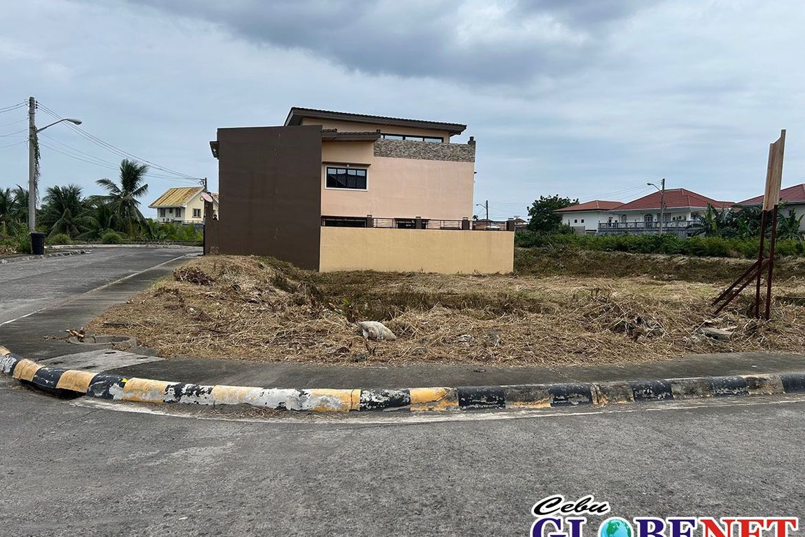 Land for Sale in Tungkil, Minglanilla, Cebu – photo 3