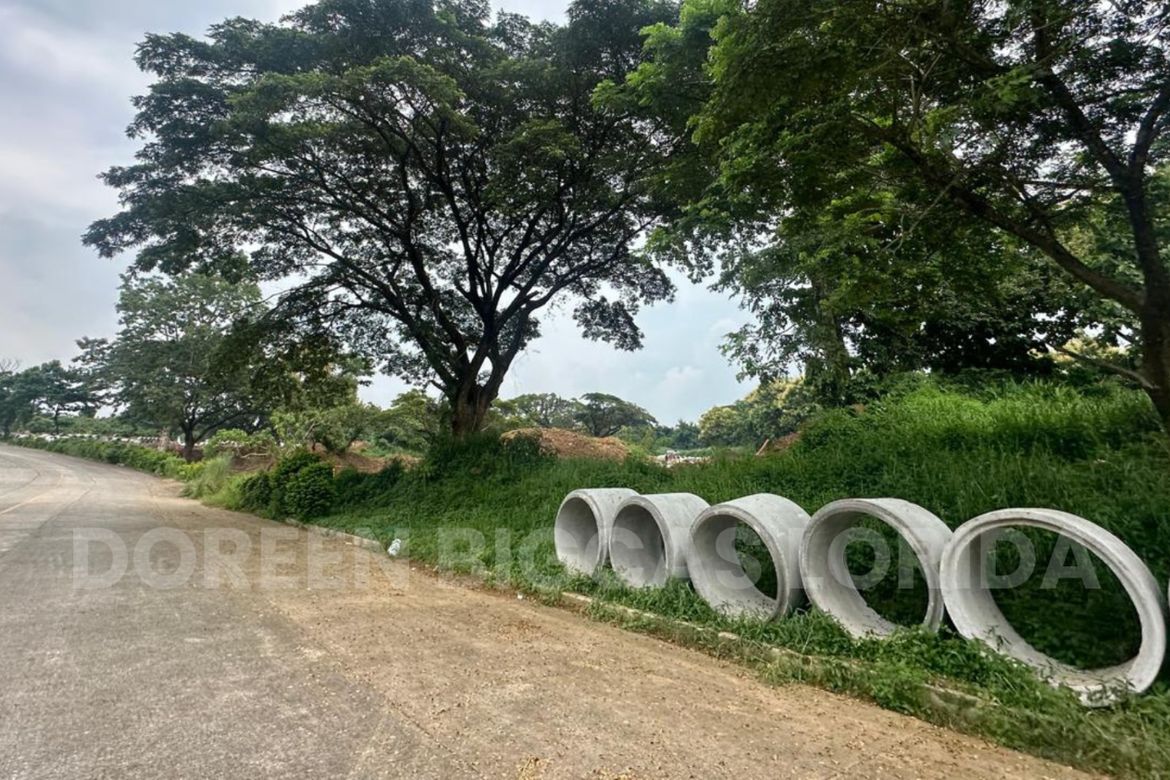 Land for Sale in Tungkong Mangga, San Jose del Monte, Bulacan – photo 6