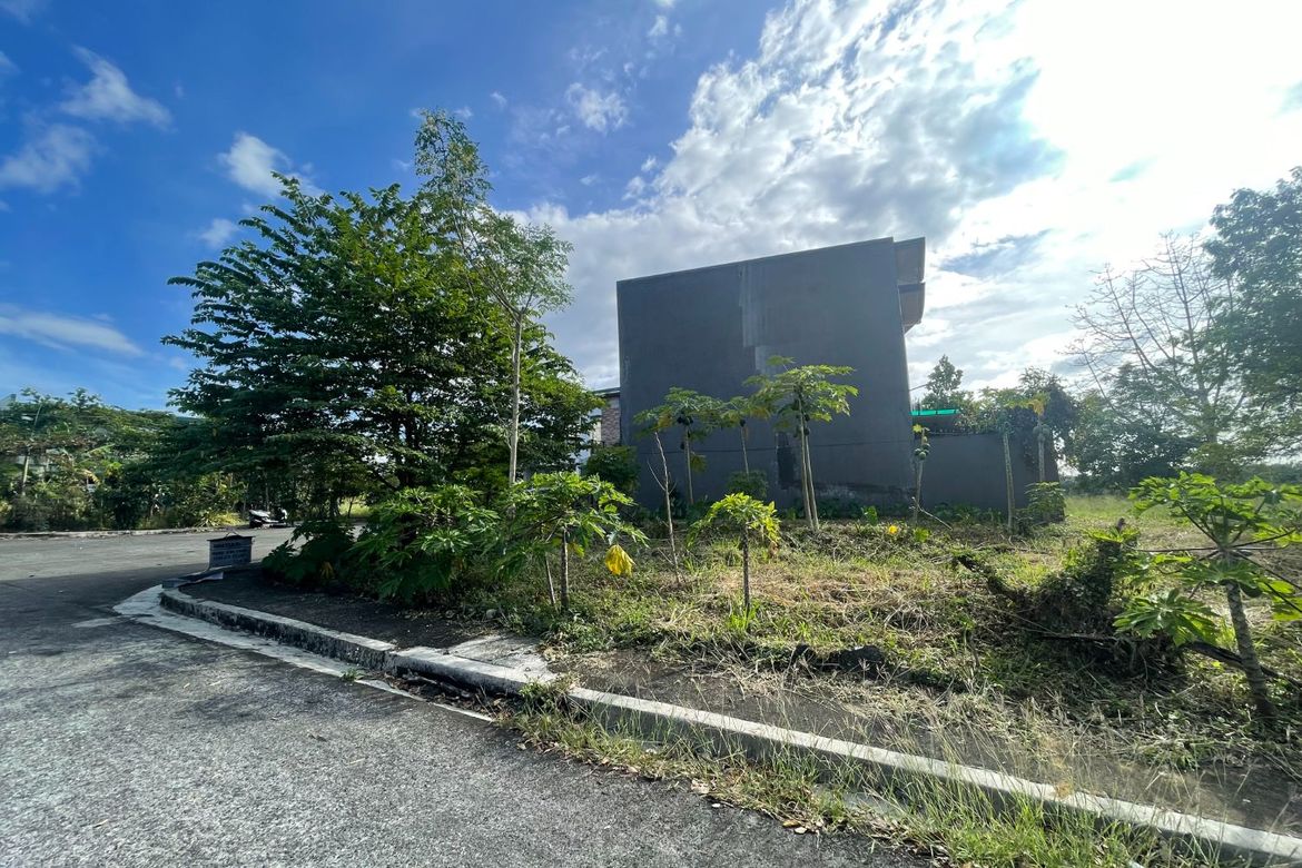 Land for Sale in Tungkong Mangga, San Jose del Monte, Bulacan – photo 3