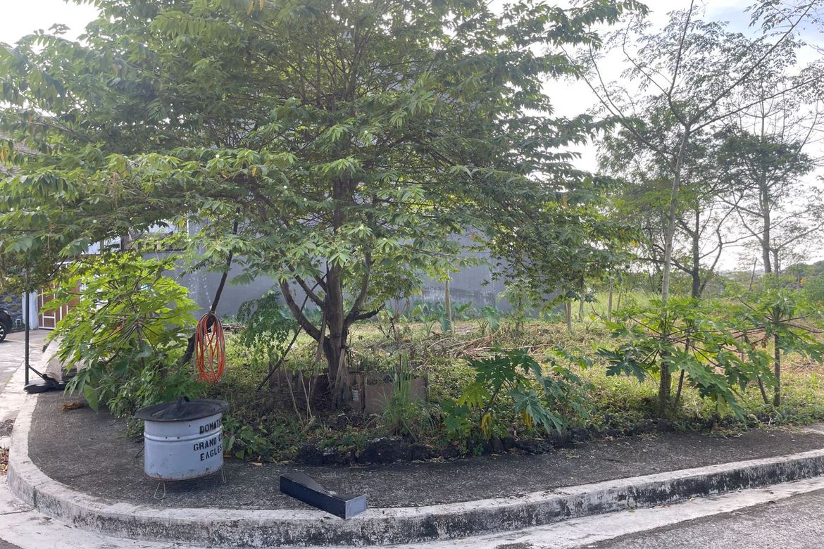 Land for Sale in Tungkong Mangga, San Jose del Monte, Bulacan – photo 5