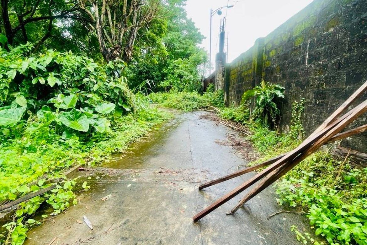Land for Sale in Tungkong Mangga, San Jose del Monte, Bulacan – photo 5
