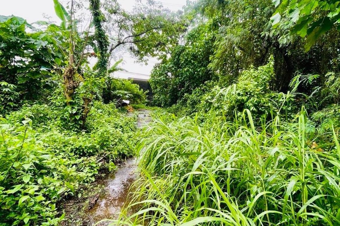Land for Sale in Tungkong Mangga, San Jose del Monte, Bulacan – photo 7