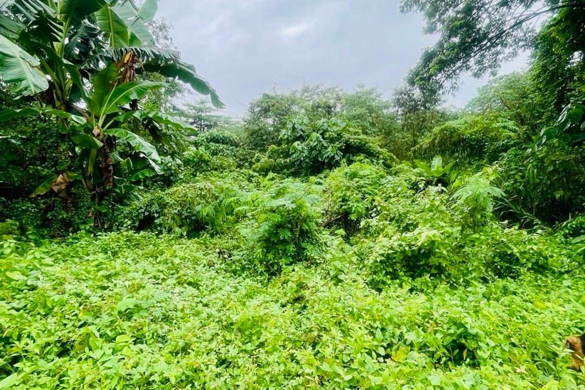 Land for Sale in Tungkong Mangga, San Jose del Monte, Bulacan – photo 8