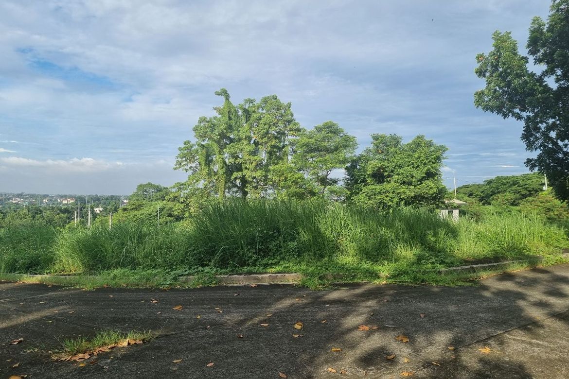 Land for Sale in Tungkong Mangga, San Jose del Monte, Bulacan – photo 3