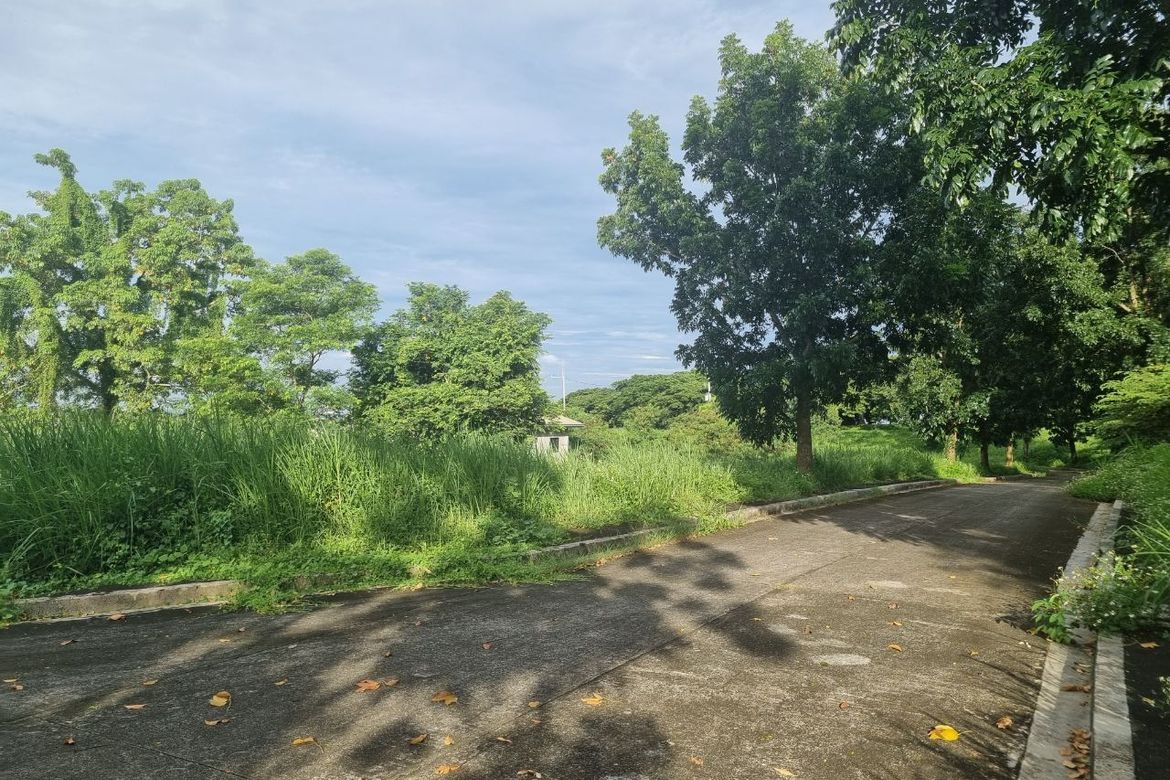 Land for Sale in Tungkong Mangga, San Jose del Monte, Bulacan – photo 4