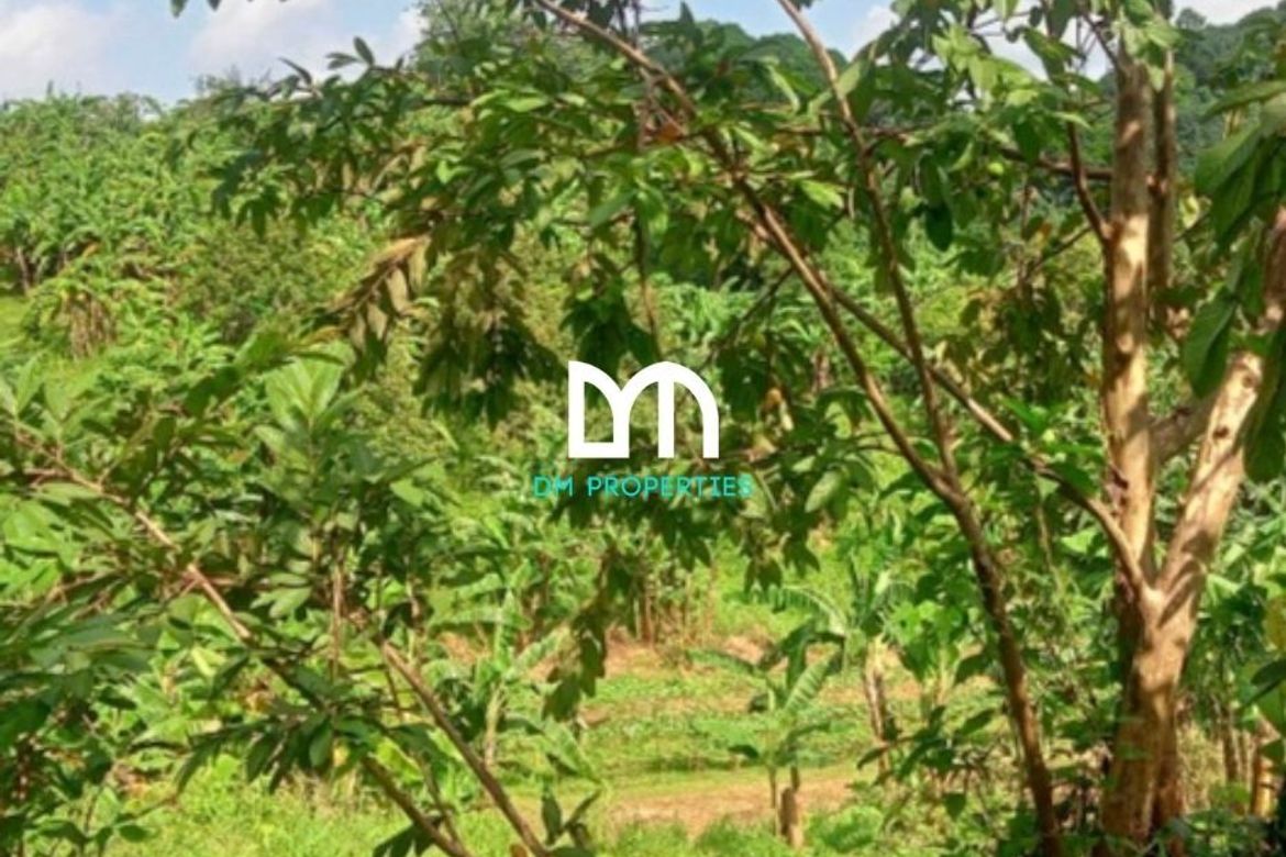 Land for Sale in Tungkong Mangga, San Jose del Monte, Bulacan – photo 2