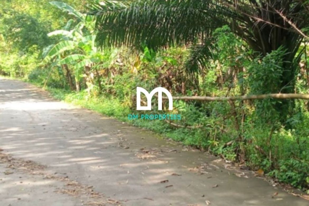 Land for Sale in Tungkong Mangga, San Jose del Monte, Bulacan – photo 6