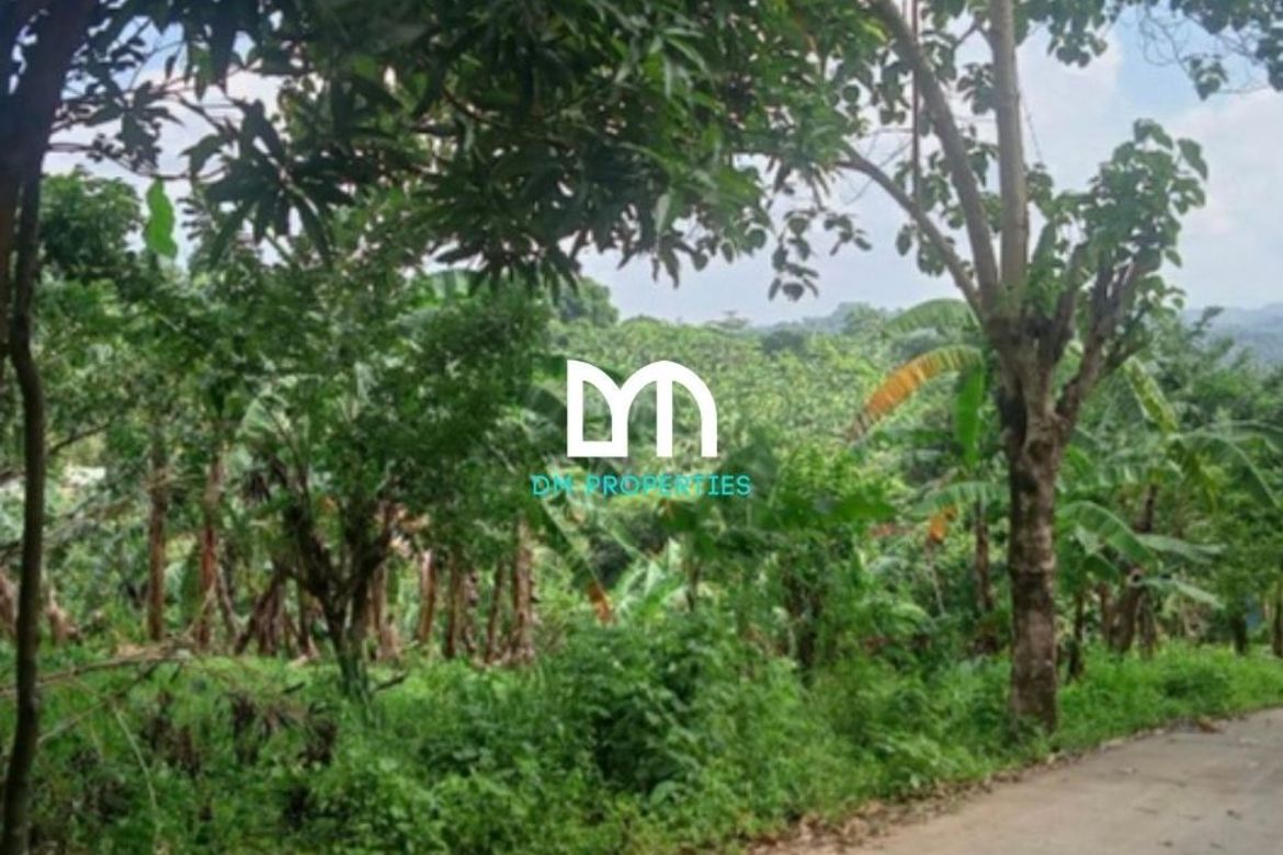 Land for Sale in Tungkong Mangga, San Jose del Monte, Bulacan – photo 7