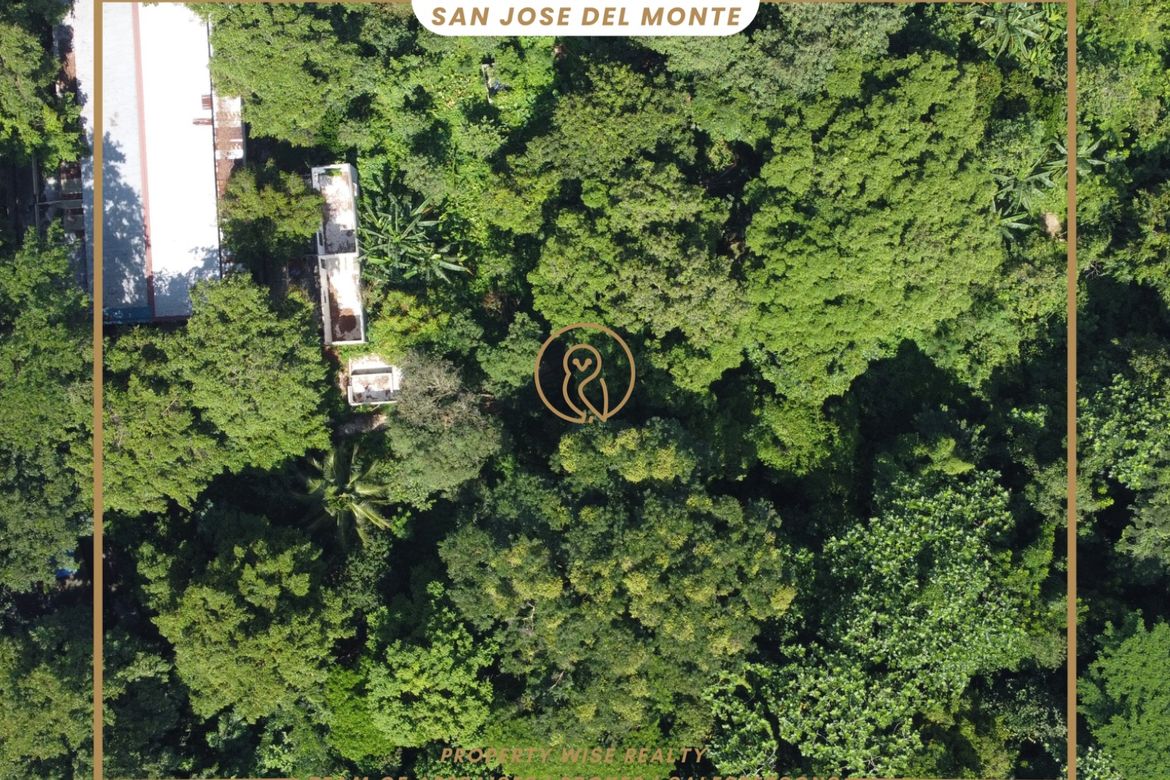Land for Sale in Tungkong Mangga, San Jose del Monte, Bulacan – photo 2