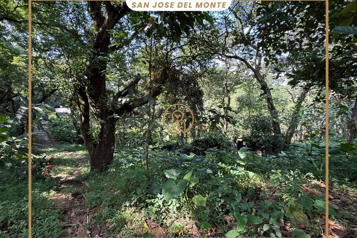 Land for Sale in Tungkong Mangga, San Jose del Monte, Bulacan – photo 3