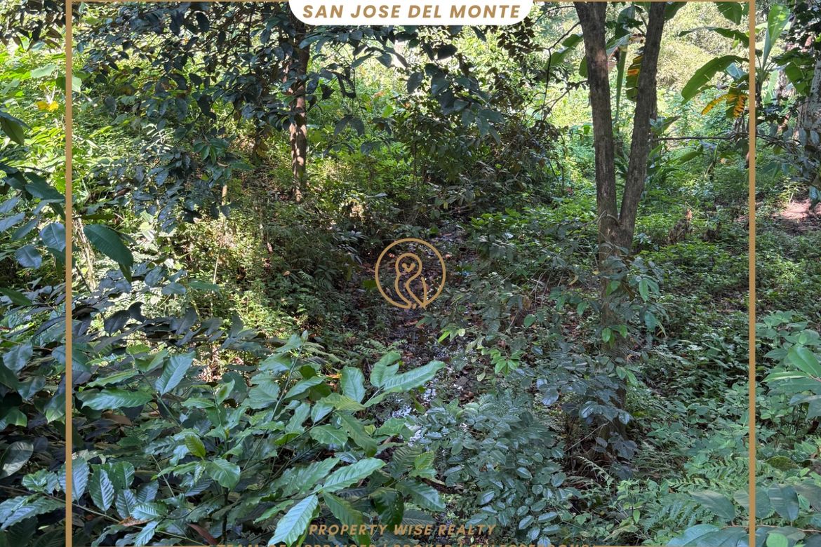 Land for Sale in Tungkong Mangga, San Jose del Monte, Bulacan – photo 4