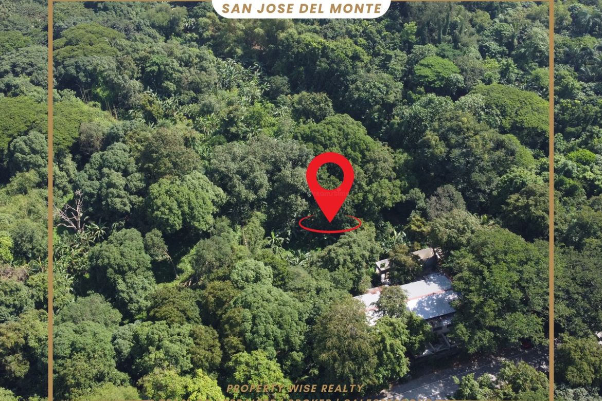 Land for Sale in Tungkong Mangga, San Jose del Monte, Bulacan – photo 5