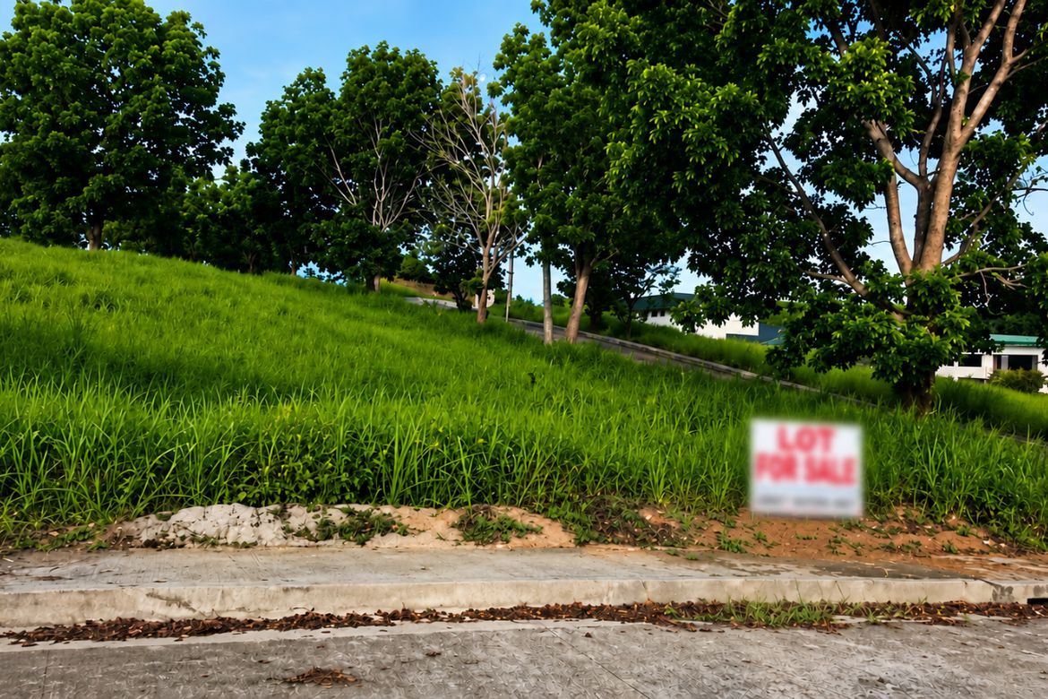Land for Sale in Tungkong Mangga, San Jose del Monte, Bulacan – photo 3