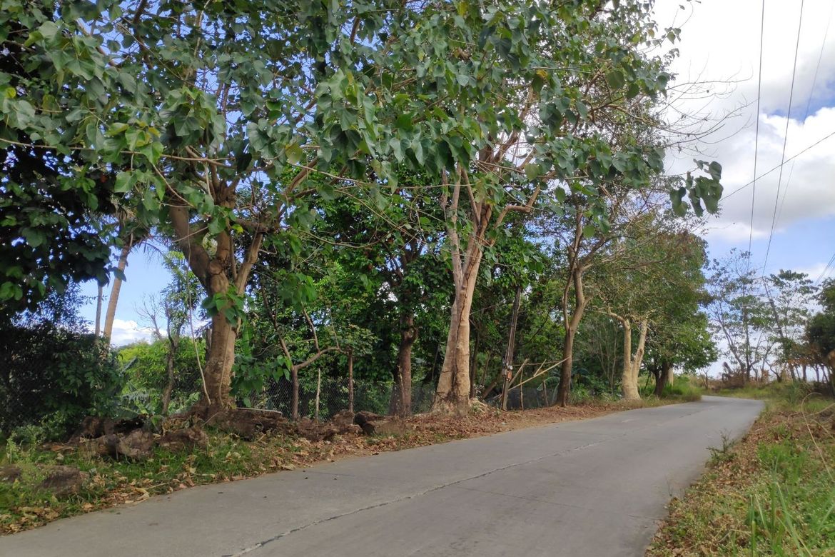 Land for Sale in Tungkong Mangga, San Jose del Monte, Bulacan