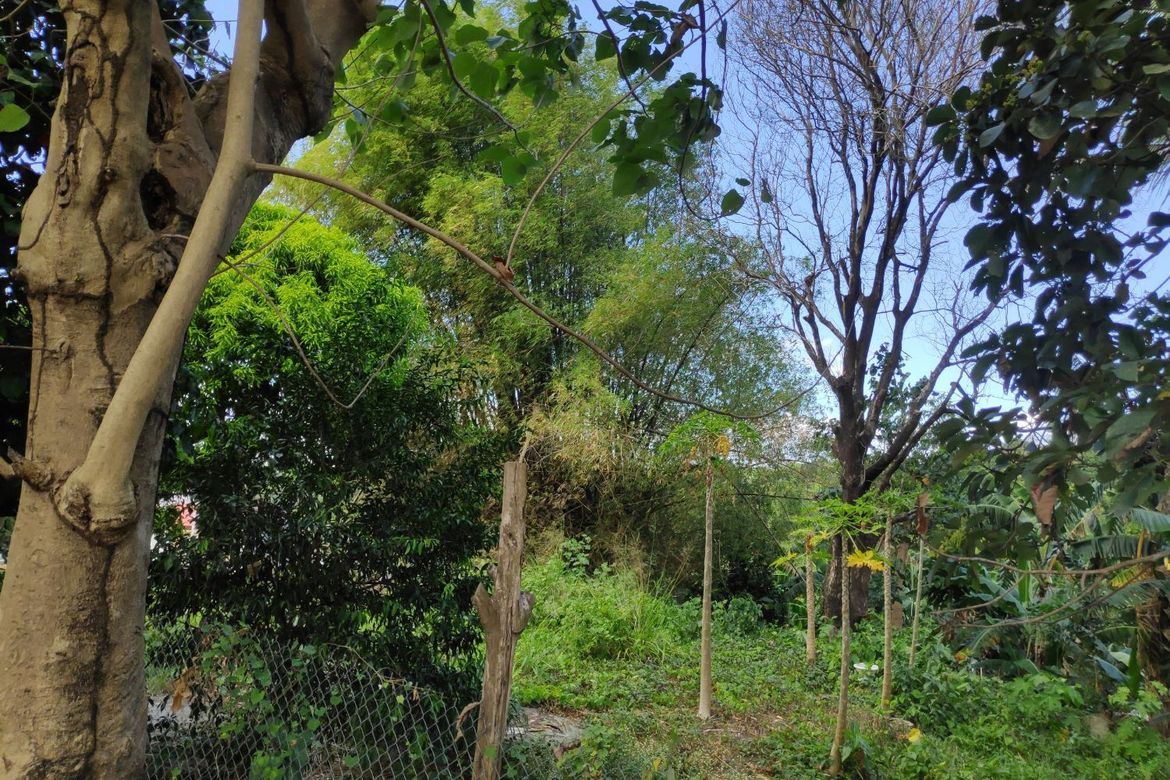 Land for Sale in Tungkong Mangga, San Jose del Monte, Bulacan – photo 5