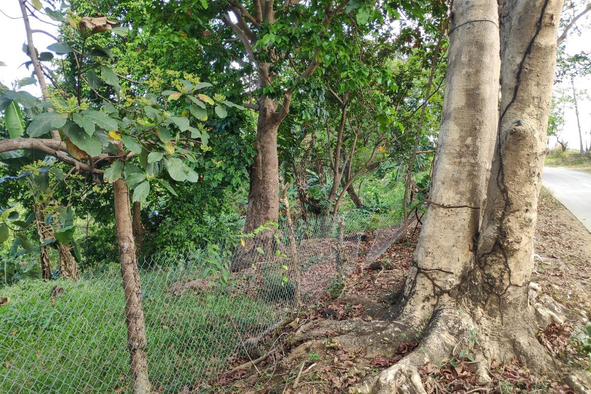 Land for Sale in Tungkong Mangga, San Jose del Monte, Bulacan – photo 7