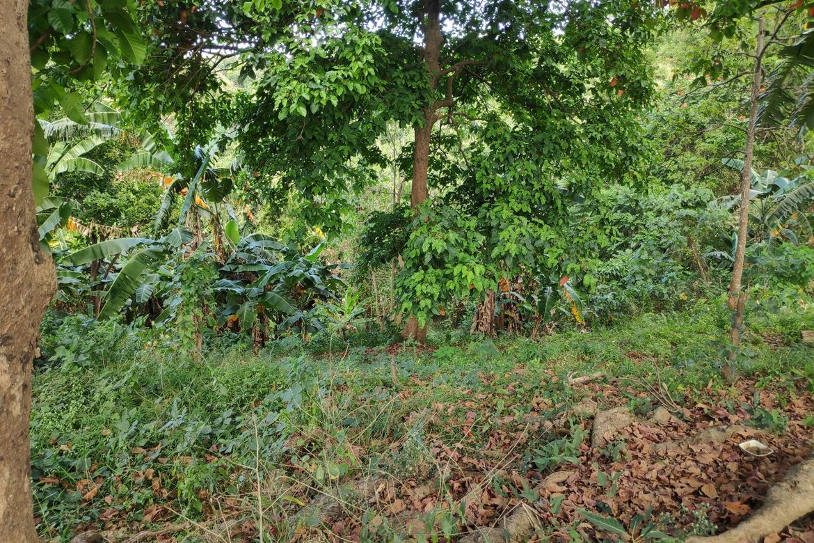 Land for Sale in Tungkong Mangga, San Jose del Monte, Bulacan – photo 8