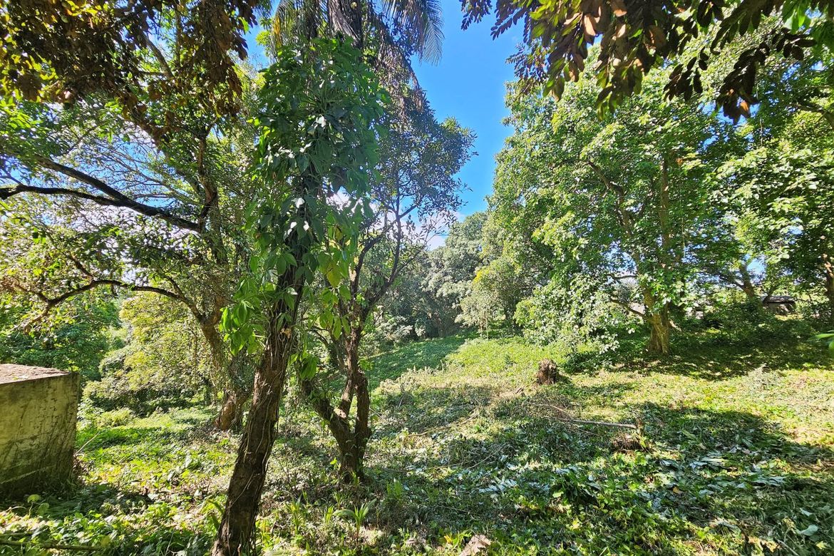 Land for Sale in Tungkong Mangga, San Jose del Monte, Bulacan – photo 4