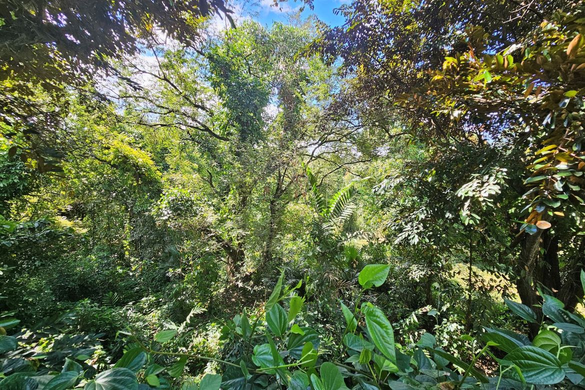 Land for Sale in Tungkong Mangga, San Jose del Monte, Bulacan – photo 7