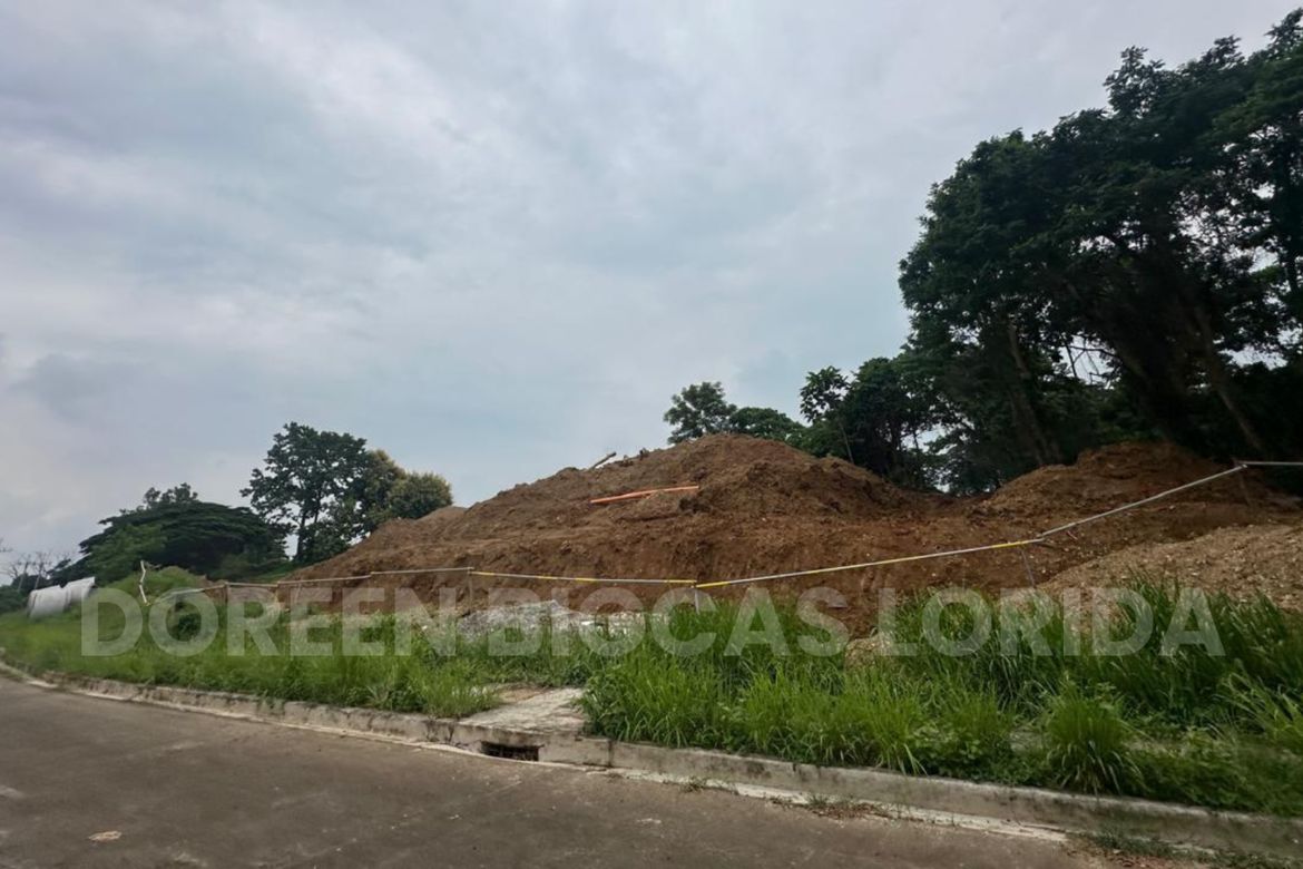 Land for Sale in Tungkong Mangga, San Jose del Monte, Bulacan – photo 2