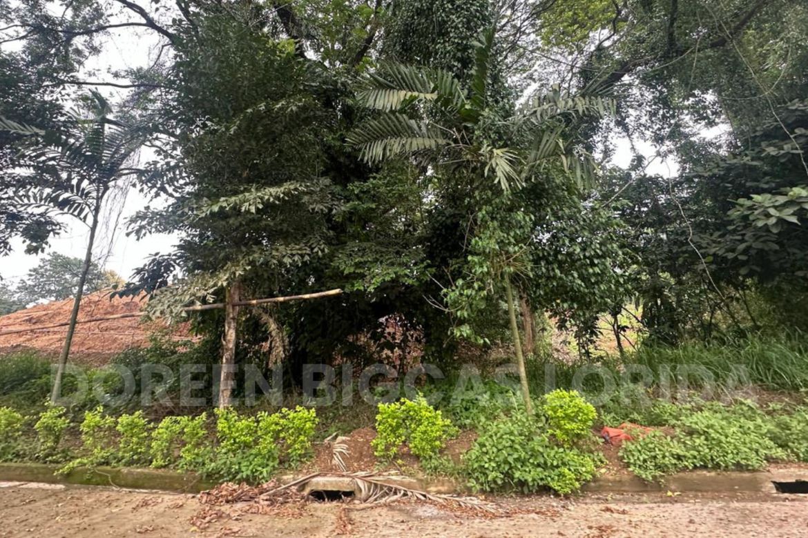 Land for Sale in Tungkong Mangga, San Jose del Monte, Bulacan – photo 6