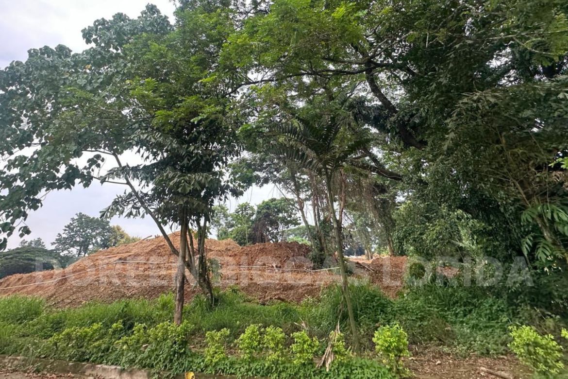 Land for Sale in Tungkong Mangga, San Jose del Monte, Bulacan – photo 8