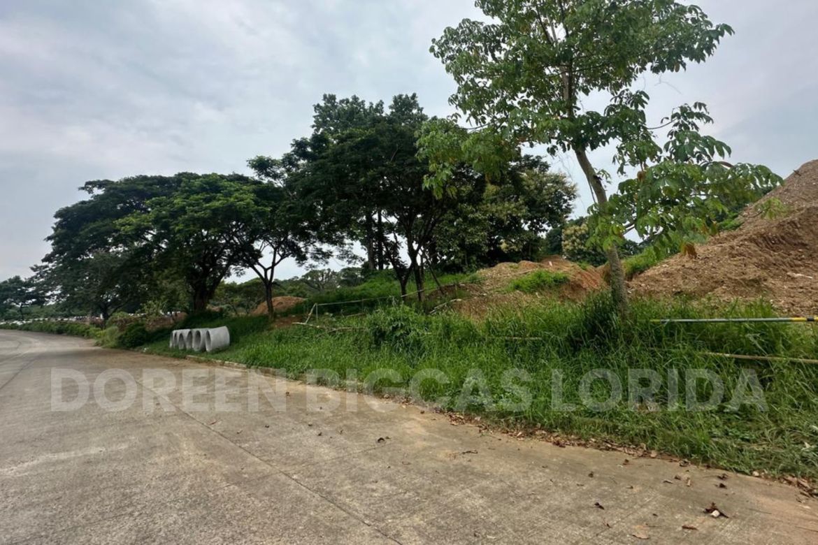 Land for Sale in Tungkong Mangga, San Jose del Monte, Bulacan – photo 2