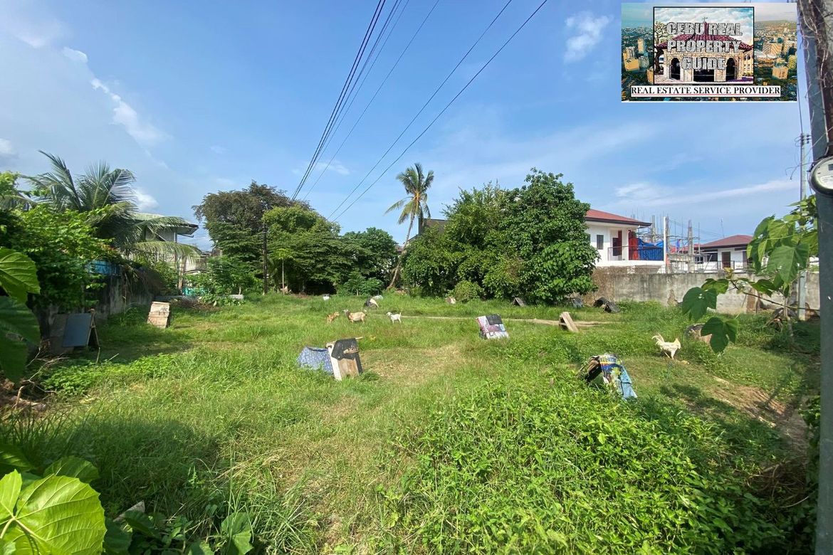 Land for Sale in Tungkop, Minglanilla, Cebu – photo 6