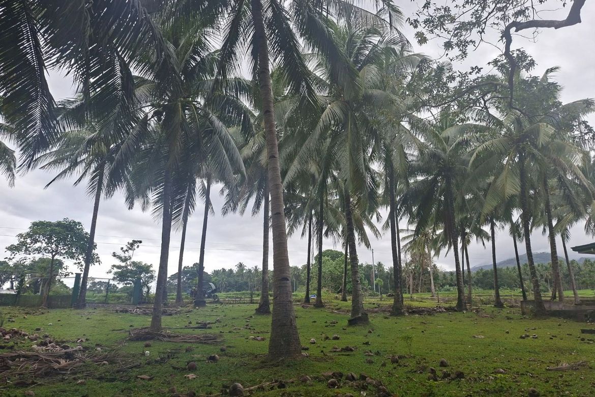 Land for Sale in Tupsan Pequeño, Sagay, Camiguin – photo 3