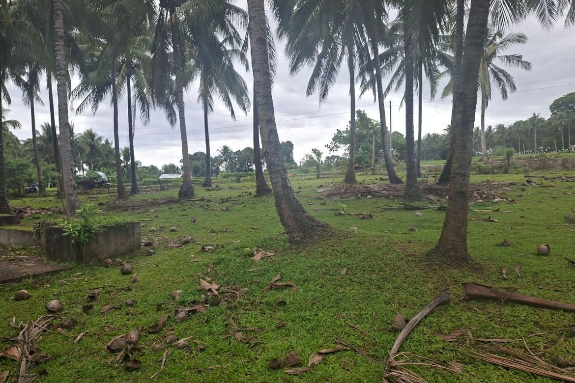 Land for Sale in Tupsan Pequeño, Sagay, Camiguin – photo 4
