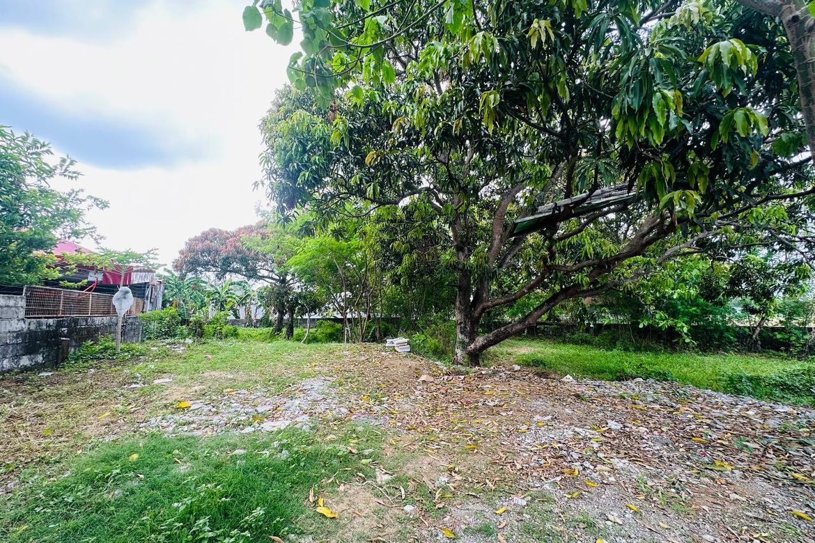 Land for Sale in Turo, Bocaue, Bulacan – photo 2