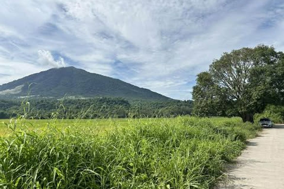 Land for Sale in Turu, Magalang, Pampanga – photo 5