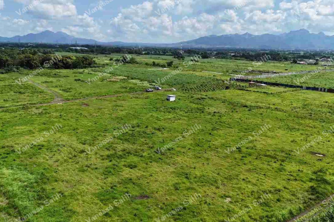 Land for Sale in Tuyon-Tuyon, Tuy, Batangas – photo 4