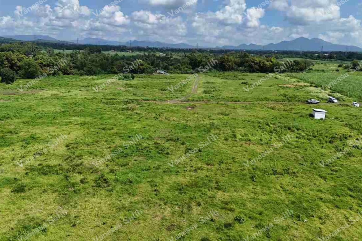 Land for Sale in Tuyon-Tuyon, Tuy, Batangas – photo 5